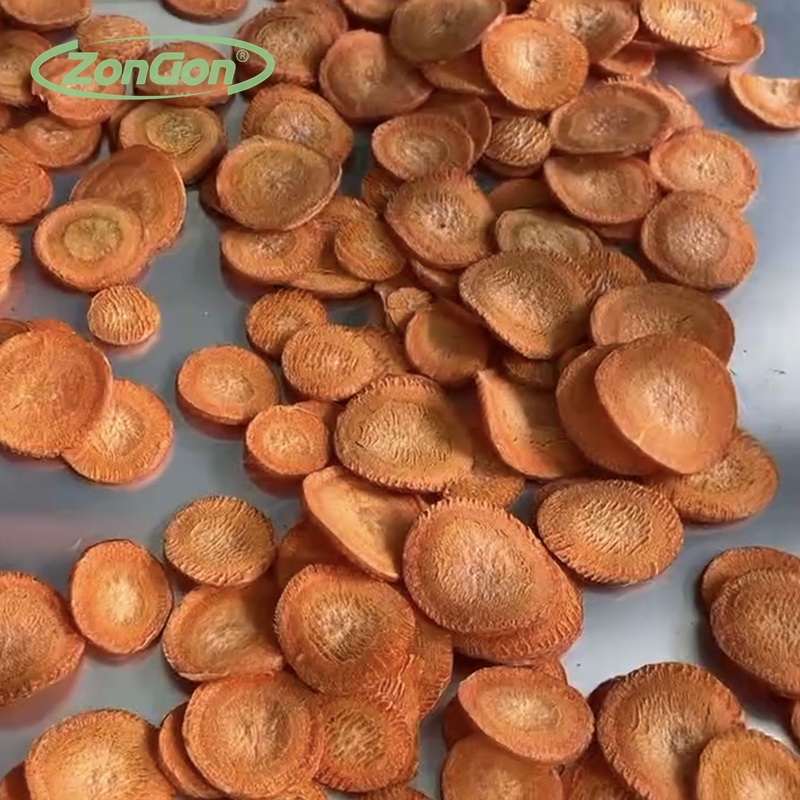 食品厂专用冻干机供应商推荐，2026 商用 / 工业冻干设备选购指南