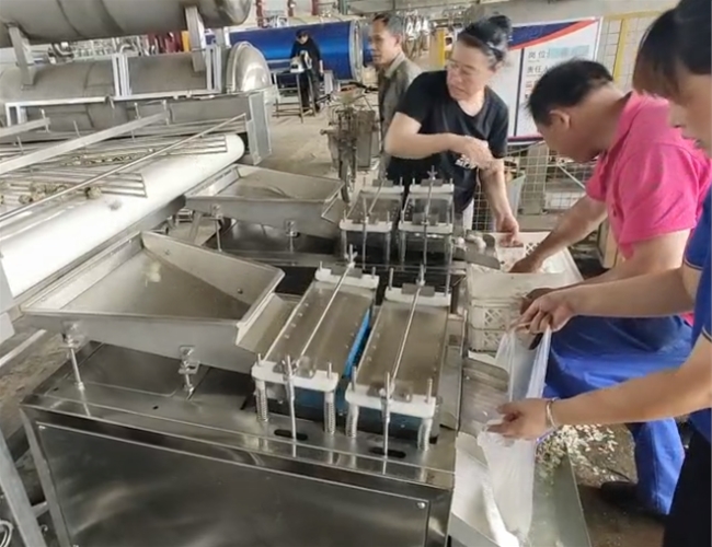 鹌鹑蛋蒸煮剥壳线试机成功