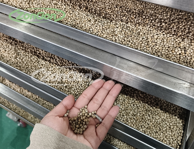 香辛料胡椒杀菌锅