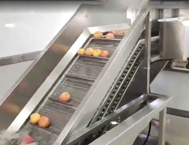 苹果脆片加工流水线03